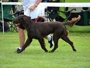 athos2 m