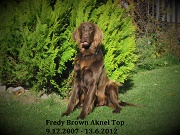 fredy m