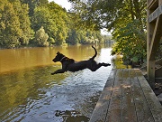 jump m