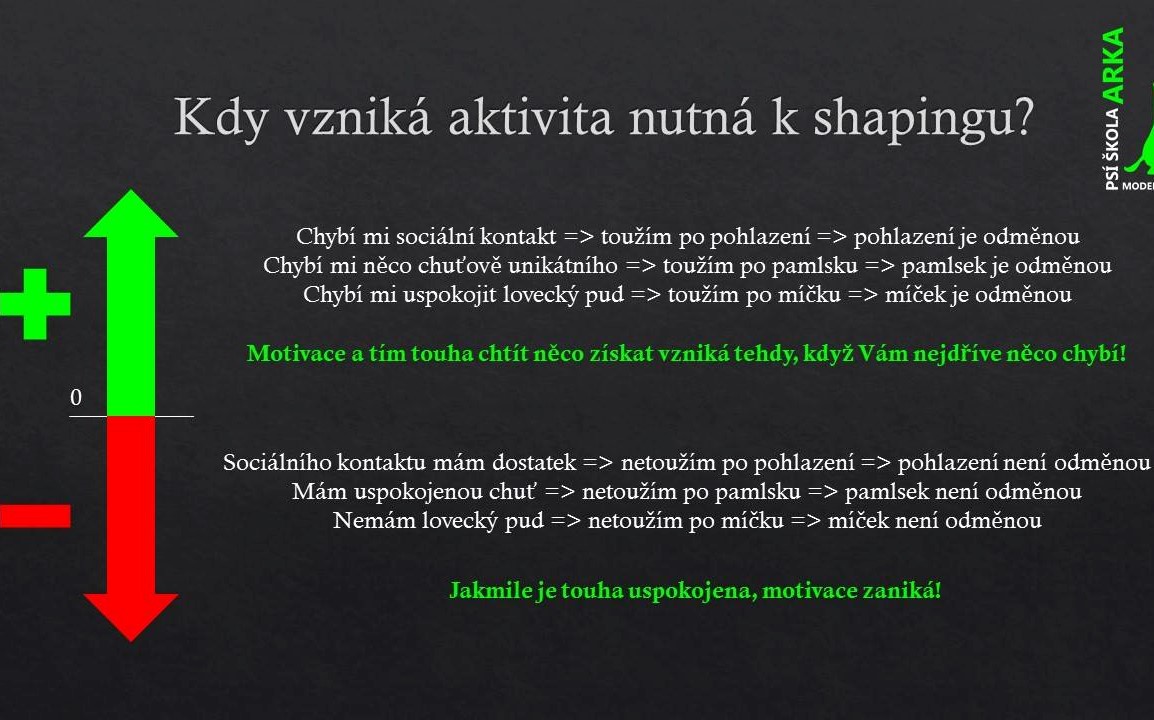 shaping1