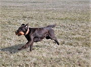 vycvik m