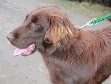 IMG 1751m